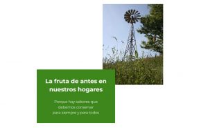 Solución Frutas Ecológicas de Cantabria